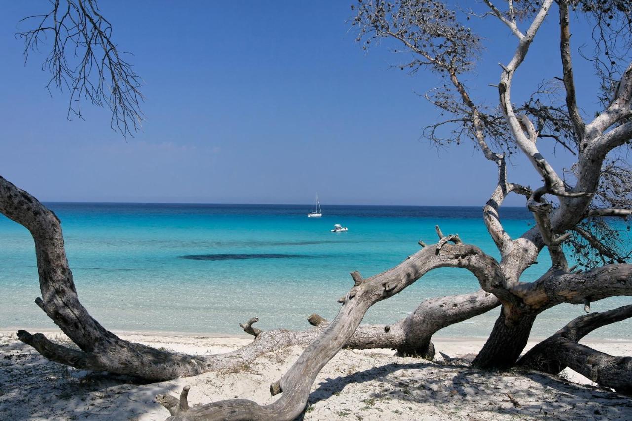 Villa Vista Mare Favone Conca Bagian luar foto